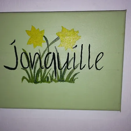 La Halte Du Pelerin D'hotes * Thorigny (Vendee)